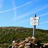 Hike up Dorr Mountain and Cadillac Mountain.