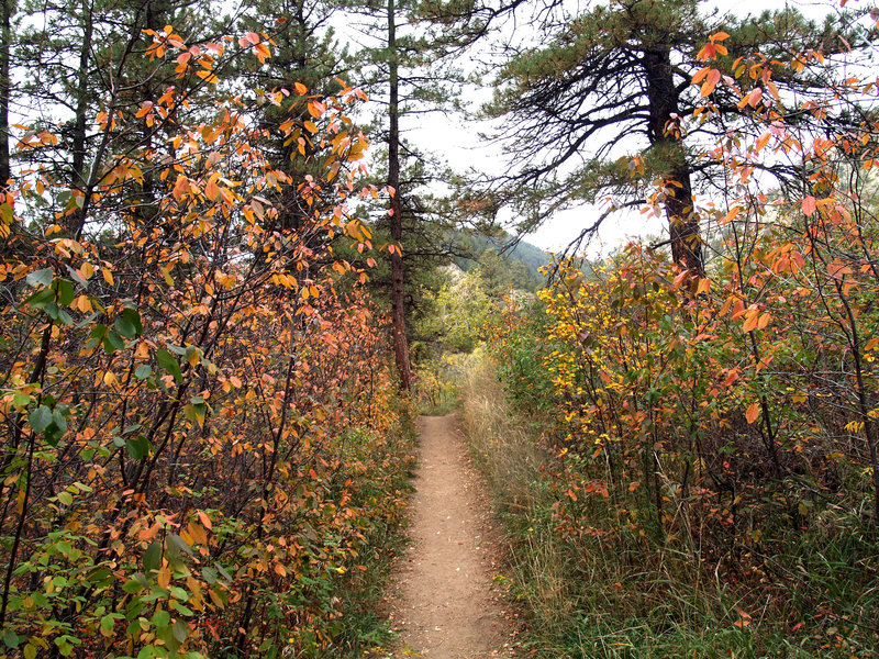 Colorful trail