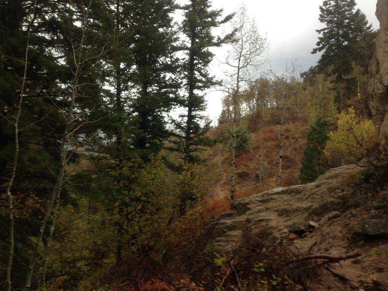 A view of the trail from the base of the rock thumb previously pictured.