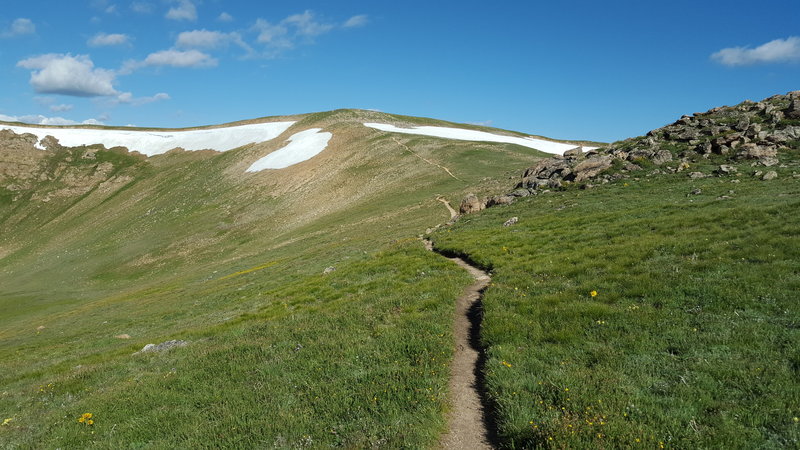 Great, well maintained singletrack on the way to Stanley Mt.