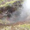 Volcano National Park - Sulphur Banks Trail