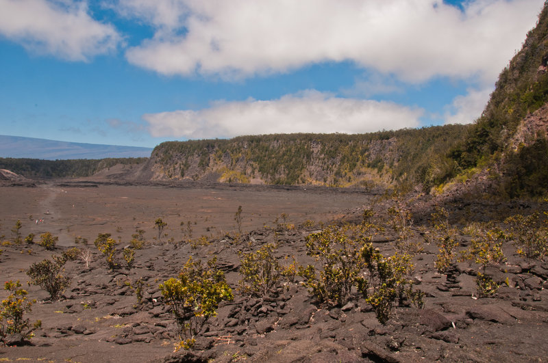 Kileauea Iki Trail!