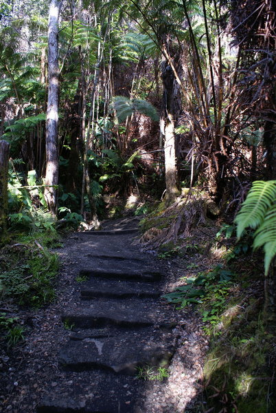 Epic Hike to Thurston Lava Tube