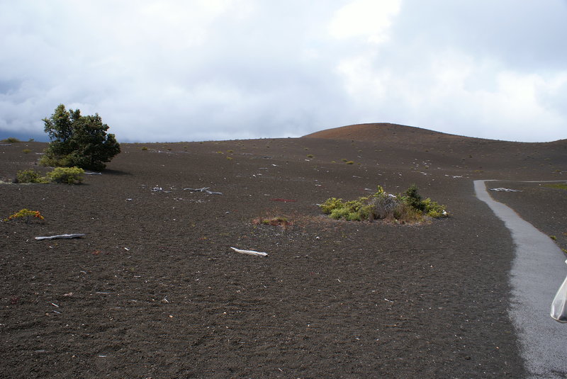 Devastation Trail--Volcanoes National Park