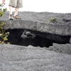 Crazy lava flows along Napau Trail.