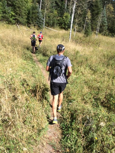 One of the many meadows on the Holy Ghost (Spirit Lake) trail.