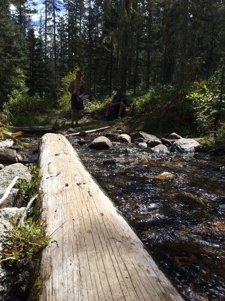 Big log.  Nice bridge.