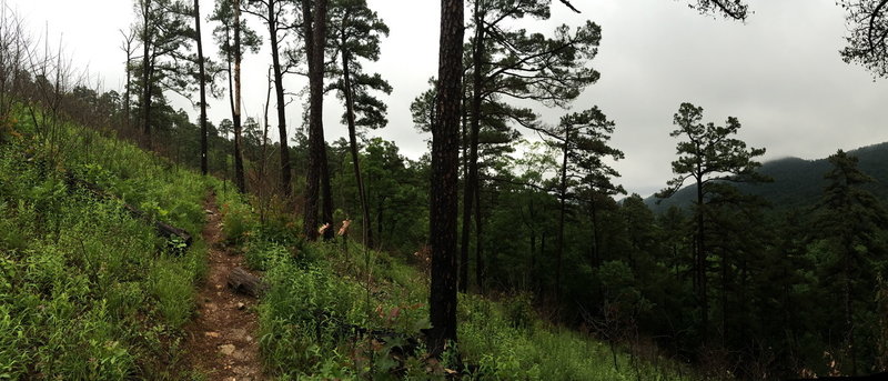 Rainy day at Hurricane Knob