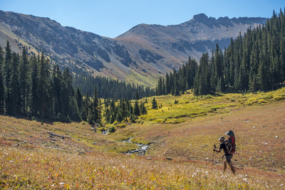 Family hike along Grizzly Creek enroute to Grizzly Lake