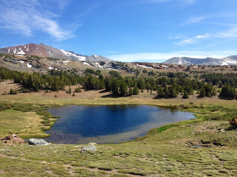 Alpine meadow and lake near Mono Pass.