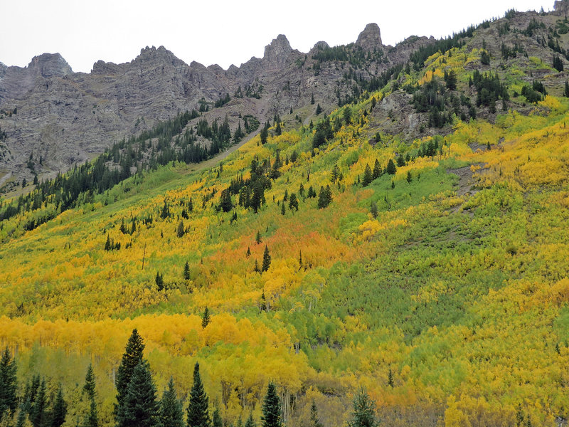 A dash of red to add spice to the yellow fall colors. Grab your binoculars to look for Mtn Goats high up on the rocks.