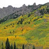 A dash of red to add spice to the yellow fall colors. Grab your binoculars to look for Mtn Goats high up on the rocks.