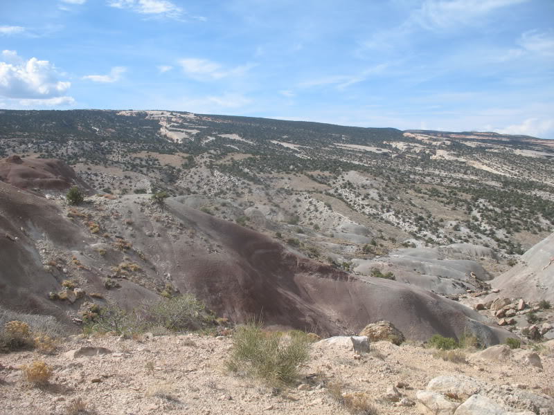 Looking across Little Park Road at The Ribbon and the Colorado National Monument's monocline.