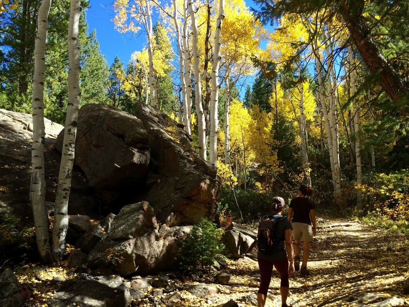 Cool boulders near Difficult Creek Trail