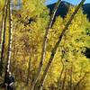 Progressing up the switchbacks on the American Lake Trail