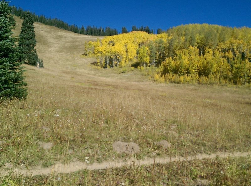 The trail crosses yet another sunny meadow