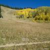 The trail crosses yet another sunny meadow