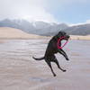 Super Maya jumping for joy at the Sand Dunes