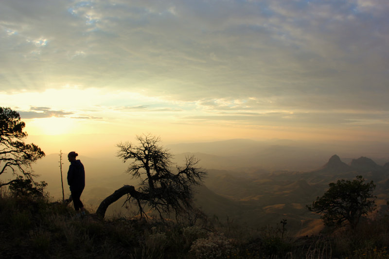 A hiker partner in the morning.