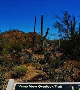 Valley View Overlook Trail