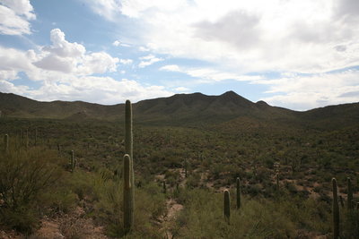 Saguaro National Park West