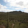 Saguaro National Park West