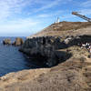 Looking out to the lighthouse from Landing Cove.