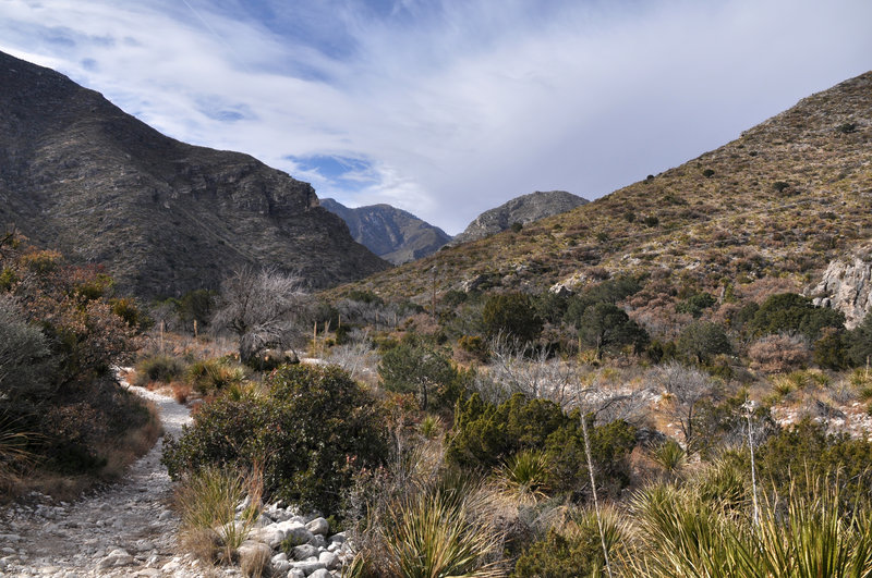 McKittrick Canyon Trail