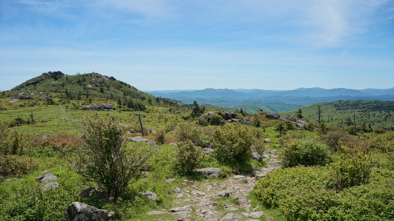 Near the Mt. Rogers summit.