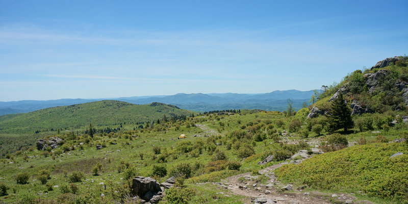 On the way to the Mt. Rogers summit.