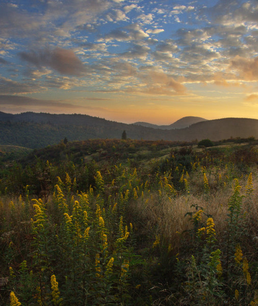 Near Sam's Knob