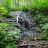 Sugarloaf Falls