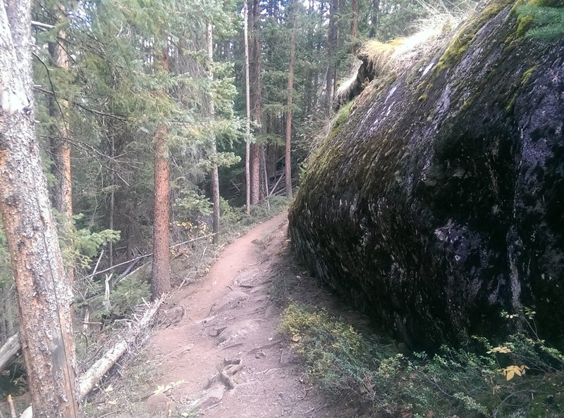 The begining of the Cross Creek Trail passes by several enormous boulders