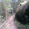 The begining of the Cross Creek Trail passes by several enormous boulders