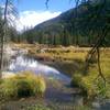 Marshy "lake" along the Cross Creek Trail