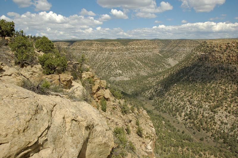 Soda Canyon