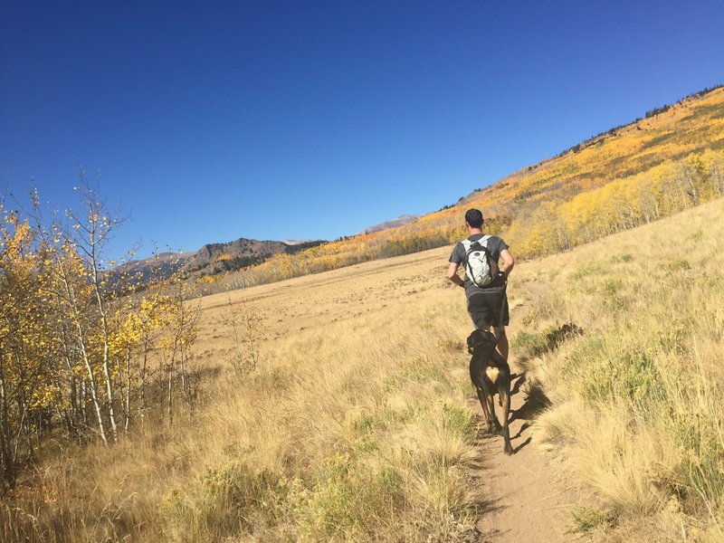 Heading through the meadow.