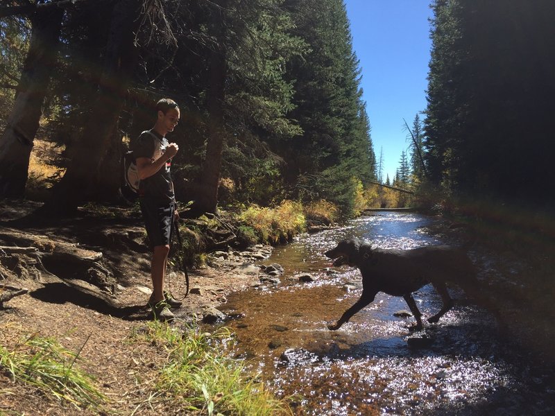 Stream at 6 mile point.