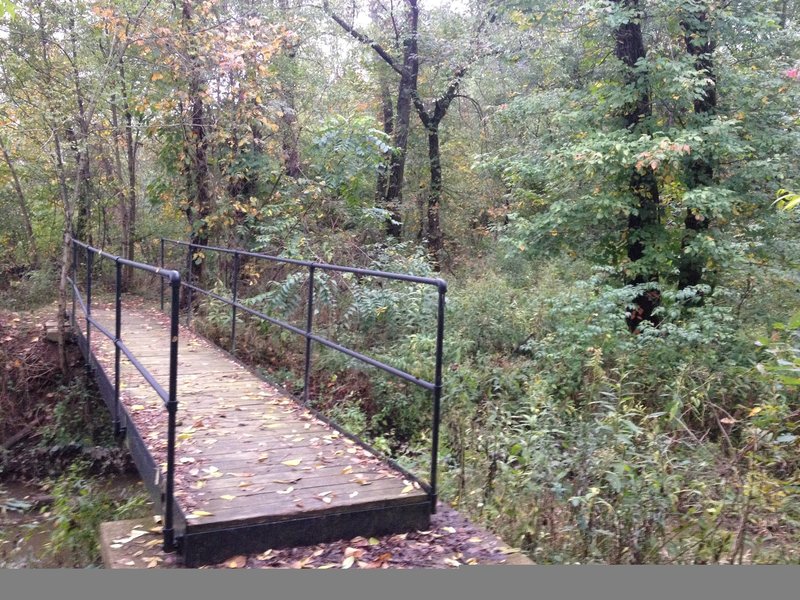 Bridge and viewpoint in the wetland