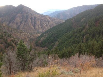 A view down Blacksmith Fork Canyon from the trail
