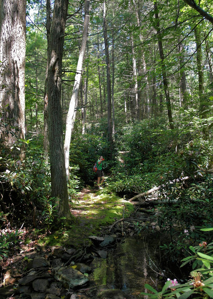 Crossing Hosack Run.