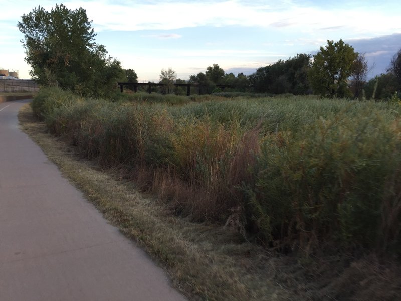 Paved portion of the Sand Creek Trail.