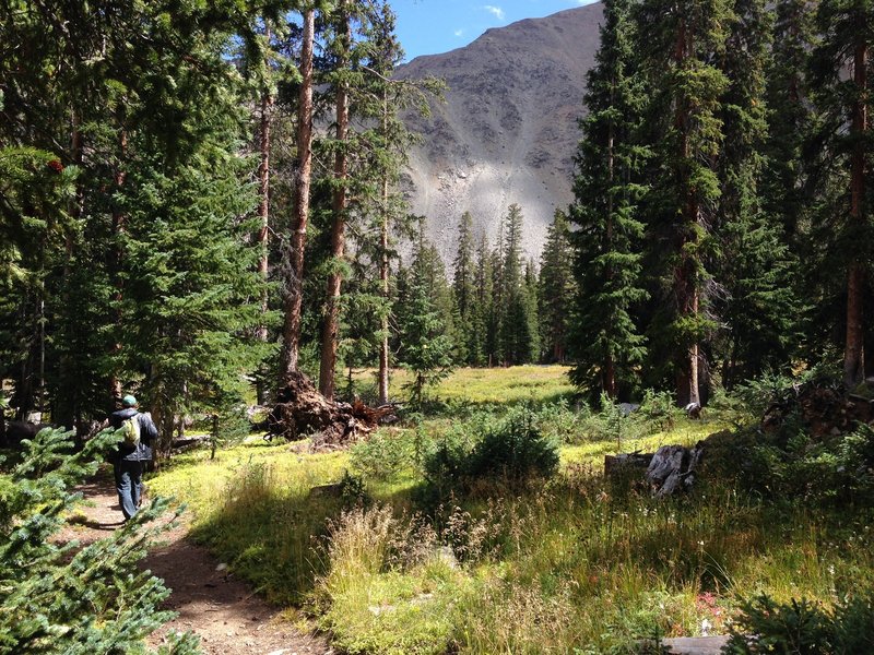 A typical view from the lower part of the trail, with the forest opening up to East Wall views.