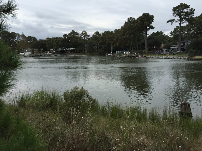 View of opposite shore across Long Creek from First Landing State Park