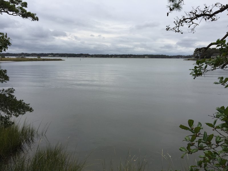 View of Broad Bay at mouth of Long Creek, as seen from Long Creek Trail in First Landing State Park.