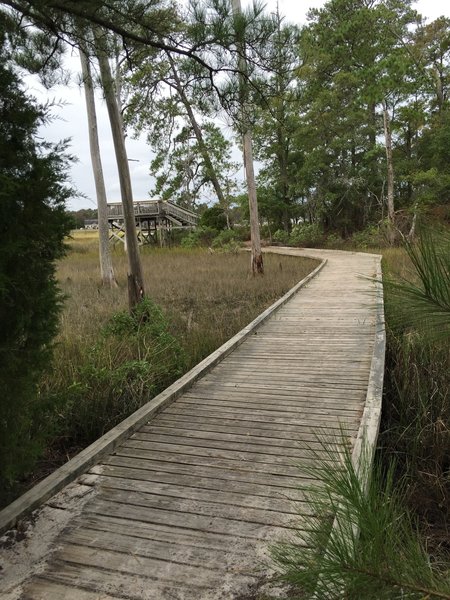 Entry point for Long Creek Trail after end of White Hill Lake Trail.