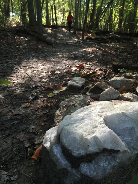 Some of the quartz that is present on the Company Mill Trail.