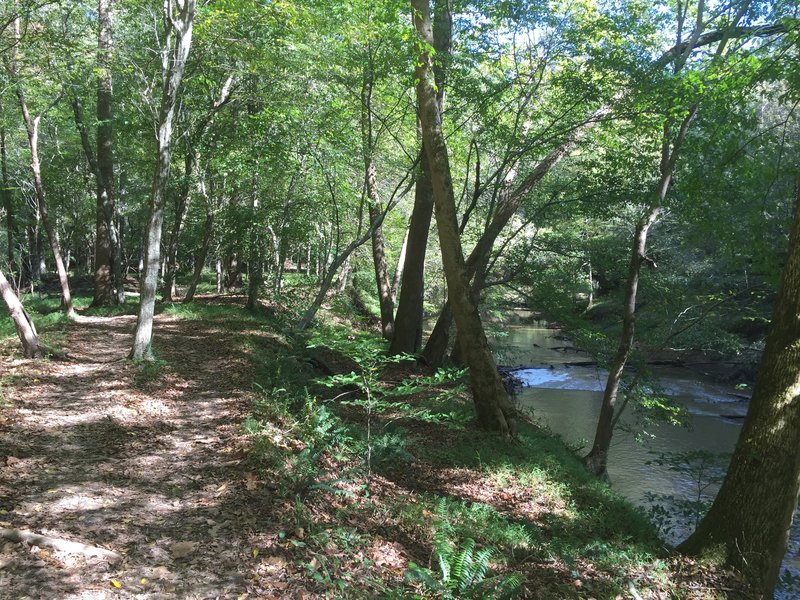 Scenic section of trail following Crabtree Creek.