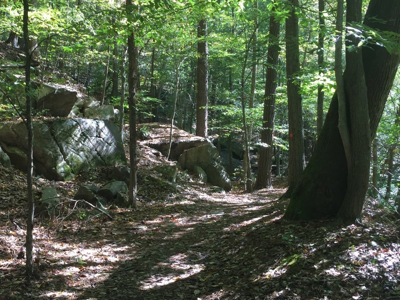 Cool exposed boulders on the north side of Crabtree Creek