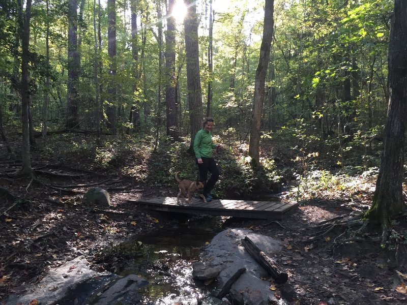 Heather and Paco crossing one of several footbridges along the trail.